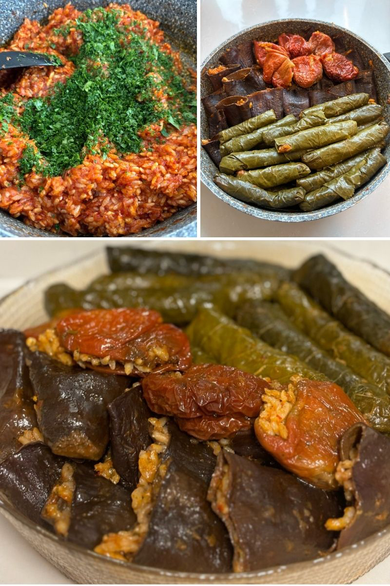 Ekşili Kuru Patlıcan ,Kuru Biber ,Yaprak Karışık Dolma Tarifi - 1